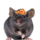 Avatar for Shmuncky
