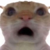rkayoh için avatar