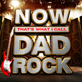 Avatar for DadJokes1978