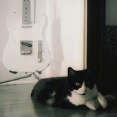Avatar di blackcat1980