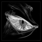 Avatar for ragnar3k