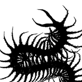 Avatar für Tynoq
