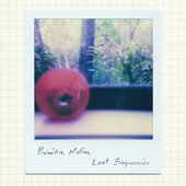 Lost Frequencies