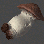 Avatar for wakingforwinter