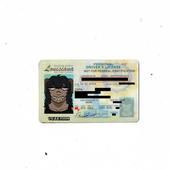 Avatar for streamlined7