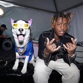 juice with swag dog