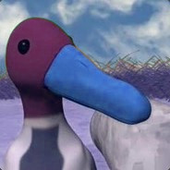 Avatar di quacke
