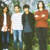 band_frutty.jpg
