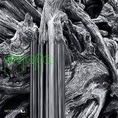 Strata