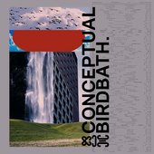 Conceptual Birdbath