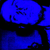 Avatar for idj0ta