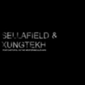 Sellafield _ The western
