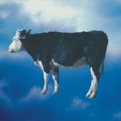 Avatar for cowsinthepaddoc