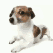 Avatar for katatlas