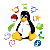 Avatar for DCMats