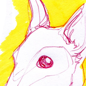 Avatar for phelecktenn
