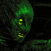 Avatar for httpspatt4