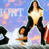 t-short.png