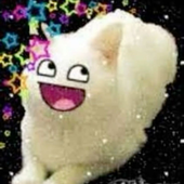 Avatar for aiexla
