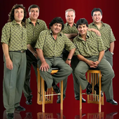 los palmeras
