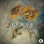Confession / Sunflowers