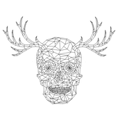 Avatar di paiotr1