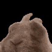 Avatar for melokure