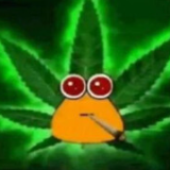 Avatar für nqwol