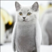 Avatar für FusionEz
