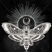 Avatar for theAmphetamine