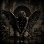 Wings To Soar