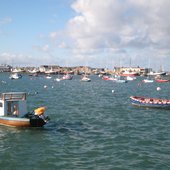 The Boats
