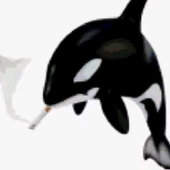 Avatar for d3m0nd0gs