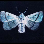 band emblem from flight approved records