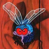 Avatar for Fly4463