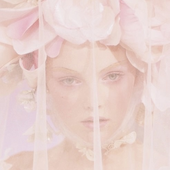 Avatar for rosesdeneige