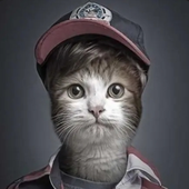 Avatar de Jngri