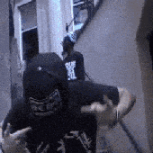 Palaces GIF 1
