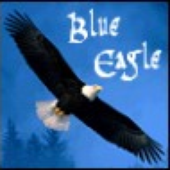 Avatar for BlueEagle_nl