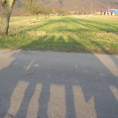 Avatar für -anika-