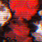 BC BANNER.png
