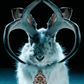 Avatar for Iwwory