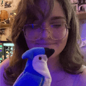 Robingo!