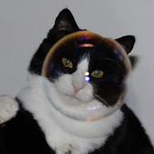 Avatar di Chazz_ie
