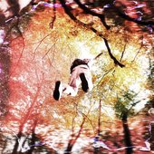 IMG_0151.jpeg