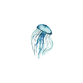 Avatar for Carolanafi