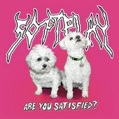 Are You Satisfied?