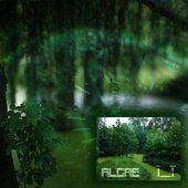 Algae