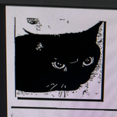 Avatar for ULTRAMEOW