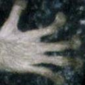 Avatar for lemurfingers
